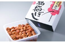 はちみつ福梅ぼし 約900g[髙島屋選定品］ [№5580-0316]