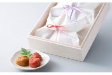 梅ごのみうす塩味・しそ漬梅ぼし約600gセット[髙島屋選定品］ [№5580-0317]
