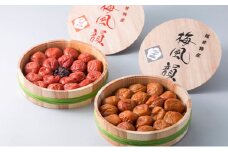 梅風韻（梅ごのみ）うす塩味・しそ漬梅ぼし約800gセット[髙島屋選定品］ [№5580-0319]