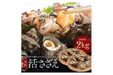 若狭湾産  活さざえ約2kg [№5580-0348]
