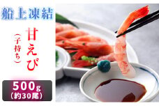甘えび 500g 約30尾 日本海甘えび 子持ち海老 冷凍えび 冷凍エビ 冷凍 海老 えび エビ 甘海老 甘エビ 海鮮 ギフト贈り物 プレゼント 福井 福井県 若狭町 [№5580-0371]