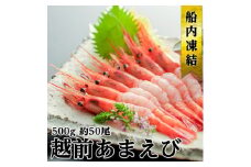 日本海 甘えび 子なし 500g 約50尾 越前甘えび 甘海老 あまえび えび エビ 海老 魚介 魚介類 海鮮 冷凍 福井 福井県 若狭町 [№5580-0372]