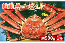 越前ガニ 約900g×1杯　越前がに 越前かに 越前ｶﾆ ずわいがに ｽﾞﾜｲｶﾞﾆ 蟹 かに ｶﾆ ﾎﾞｲﾙｶﾞﾆ [№5580-0009]