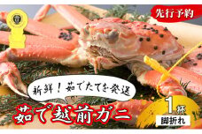 訳あり 期間限定 茹で 越前ガニ 約600g～700g未満 1杯  脚折れ 茹でガニ 越前カニ 越前蟹 ズワイガニ ずわい蟹 かに 蟹 ボイルカニ ボイル蟹 魚介 魚介類 海鮮 限定 訳アリ 福井 福井県 若狭町 [№5580-0032]