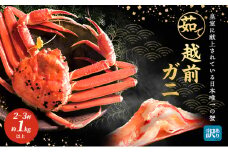 訳あり 期間限定 茹で 越前ガニ 約1kg以上 2～3杯  食通もうなる本場の味をご堪能ください 脚折れ 茹でガニ 越前カニ 越前蟹 ズワイガニ かに 蟹 ボイルカニ ボイル蟹 海鮮 限定 訳アリ 福井 福井県 若狭町 [№5580-0059]