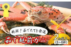 茹で越前ガニ【期間限定】食通もうなる本場の味をぜひ、ご堪能ください。 約2kg以上（3～6杯）訳あり（脚折れ含む）越前がに 越前かに 越前カニ ずわいがに かに カニ ボイルガニ [№5580-0060]