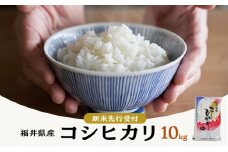 米 令和6年 コシヒカリ 10kg 一等米 お米 おこめ こめ コメ 白米 精米 新米 ご飯 ごはん 三宅カントリーファーム 福井県 福井 [№5580-0393]