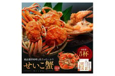 冬の味覚 せいこがに メス 5杯 希少な蟹 セイコガニ せいこ蟹 かに カニ 蟹 ボイルカニ ボイル蟹 ポーション 魚介 海鮮 限定 福井 福井県 若狭町 [№5580-0414]