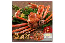 期間限定 茹で 越前ガニ 1kg以上 3杯 食通もうなる本場の味をぜひ、ご堪能ください 越前かに 蟹 カニ かに ボイルカニ ボイル蟹 ポーション ズワイガニ 海鮮 限定 福井 福井県 若狭町 [№5580-0422]