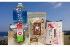 赤ちゃんやペットも食べられる！贈り物にもピッタリ！若狭おやつセット　　目白大学の学生が考案、その3 [№5580-0438]