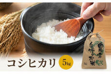米 令和7年 コシヒカリ 5kg 一等米 お米 おこめ こめ コメ 白米 精米 新米 ご飯 ごはん 山心ファーム 福井県 福井 [№5580-0460]