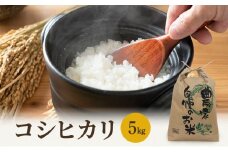 米 令和7年 コシヒカリ 5kg 一等米 お米 おこめ こめ コメ 白米 精米 新米 ご飯 ごはん 山心ファーム 福井県 福井 [№5580-0460]