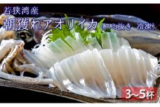 朝どれ アオリイカ 3～8杯 スミ抜き 冷凍 若狭湾産 朝どれ魚 イカ 烏賊 いか 冷凍イカ 海鮮 福井 福井県 若狭町 [№5580-0475]