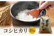 米 令和7年産 コシヒカリ 10kg 白米 精米 こめ コメ 一等米 特A 特a米 新米 こしひかり 山心ファーム 福井 福井県 若狭町 [№5580-0496]