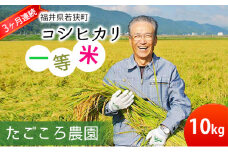 【3ケ月連続お届け】令和6年度産 新米 先行予約 コシヒカリ 10kg 一等米 米 お米 おこめ こめ コメ 白米 精米 ご飯 ごはん たごころ農園 福井県 福井 [№5580-0537]