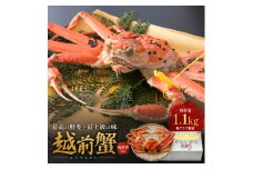 期間限定 茹で 越前ガニ 約1.1kg以上 1杯 食通もうなる本場の味をぜひ、ご堪能ください 越前かに 蟹 カニ かに ボイルカニ ポーション ズワイガニ 海鮮 限定 福井 福井県 若狭町 [№5580-0565]