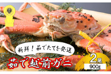茹で越前ガニ【期間限定】食通もうなる本場の味をぜひ、ご堪能ください。約900g 2尾セット 越前がに 越前かに 越前カニ カニ ボイルガニ [№5580-0573]
