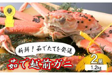 期間限定 茹で 越前ガニ 約1.2kg 2杯 食通もうなる本場の味をぜひ、ご堪能ください 越前かに 蟹 カニ かに ボイルカニ ポーション ズワイガニ 海鮮 限定 福井 福井県 若狭町 [№5580-0575]