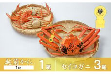 茹で越前ガニ【期間限定】食通もうなる本場の味をぜひ、ご堪能ください。セイコガニセット 約1kg＋セイコガニ3杯 越前がに 越前かに 越前カニ カニ ボイルガニ[№5580-0579]