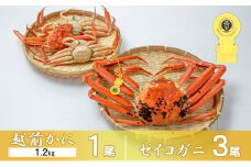 茹で越前ガニ【期間限定】食通もうなる本場の味をぜひ、ご堪能ください。セイコガニセット 約1.2kg＋セイコガニ3杯 越前がに 越前かに 越前カニ カニ ボイルガニ[№5580-0581]