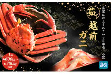訳あり 茹で 越前ガニ 約600g～700g未満 1杯 年末配送 食通もうなる本場の味をぜひ、ご堪能ください 越前かに 蟹 カニ かに ボイルカニ ボイル蟹 ポーション ズワイガニ 海鮮 脚折れ 訳アリ 福井 福井県 若狭町 [№5580-0590]
