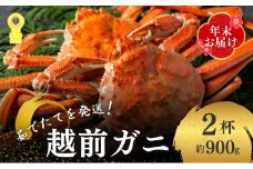 茹で越前ガニ【年末お届け】食通もうなる本場の味をぜひ、ご堪能ください。約900g 2尾セット 越前がに 越前かに 越前カニ カニ ボイルガニ [№5580-0604]