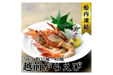 越前ガラエビ 約500g（約35～40尾） [№5580-0659]