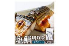 塩さば切り身 約90g×8切れ 真空パック入