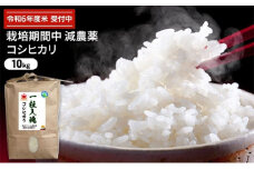 令和6年産 栽培期間中減農薬 コシヒカリ 10kg　玄米[№5580-7041]0781