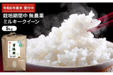 令和6年産 栽培期間中無農薬ミルキークイーン 5kg　白米[№5580-7052]0786
