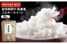 令和6年産 栽培期間中無農薬ミルキークイーン 20kg　玄米[№5580-7055]0788