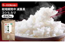栽培期間中 減農薬コシヒカリ 白米5kg 6ヶ月定期お届け  [№5580-0812]