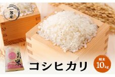 【令和5年福井県若狭町産】コシヒカリ（1等米）精米10kg [№5580-0831]