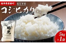 令和6年産福井県若狭町コシヒカリ（一等米）5kg（神谷農園） 5kg×1袋 [№5580-0841]