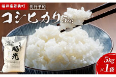 令和7年産 福井県若狭町 コシヒカリ （一等米） 5kg（神谷農園） 5kg×1袋 お米 ブランド米 銘柄米 ご飯 おにぎり お弁当 産地直送 和食 主食 [№5580-0841]
