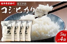 令和6年産福井県若狭町コシヒカリ（一等米）20kg（神谷農園） 5kg×4袋 [№5580-0843]