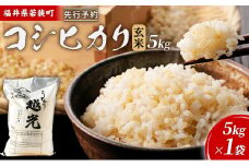 令和6年産福井県若狭町コシヒカリ（一等米）玄米　5kg（神谷農園） 5kg×1袋 [№5580-0844]