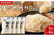 令和6年産福井県若狭町コシヒカリ（一等米）玄米　20kg（神谷農園） 5kg×4袋 [№5580-0846]