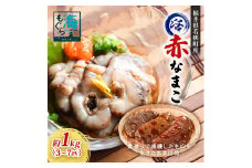 【福井県若狭町産】活 赤なまこ 約1kg（3～7匹）[№5580-0886]
