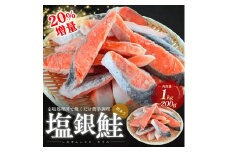 20％増量　訳あり塩銀鮭　切り身1.2kg　町制20周年記念 鮭 サケ 銀鮭 切身 訳あり おかず 冷凍 規格外 お取り寄せ 福井県 若狭町[№5580-0937]