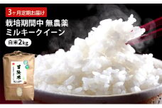 定期便 3回 栽培期間中 無農薬 ミルキークイーン 白米 2kg 3ヶ月 定期 お届け [№5580-0949]