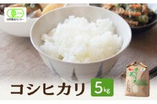 米 有機JAS 認証 コシヒカリ 白米 5kg こしひかり お米 おこめ こめ コメ 白米 精米 ご飯 ごはん 福井県[№5580-1246]