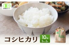 米 有機JAS 認証 コシヒカリ 白米 10kg こしひかり お米 おこめ こめ コメ 白米 精米 ご飯 ごはん 福井県[№5580-1247]