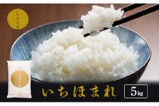 米 令和7年産 いちほまれ 5kg 福井 高級ブランド米 お米 おこめ コメ こめ 白米 精米 ご飯 ごはん 福井県 
