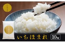 米 いちほまれ 10kg 新米 精米 白米 お米 米 おこめ こめ コメ ご飯 ブランド米 令和7年産 福井 福井県 若狭町