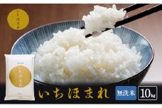 無洗米 令和7年産 いちほまれ 10kg 福井 高級ブランド米 お米 おこめ 米 コメ こめ 白米 精米 ご飯 ごはん 福井県 