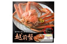 訳あり茹で越前ガニ 500g以上×2杯(脚折れ) カニ ズワイガニ ボイル 福井県 [№5580-1267]