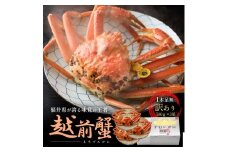 訳あり茹で越前ガニ 500g以上×3杯(脚折れ) カニ ズワイガニ ボイル 福井県 [№5580-1268]
