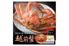 訳あり茹で越前ガニ 900g以上×1杯(脚折れ) カニ ズワイガニ ボイル 福井県 [№5580-1270]