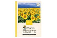 カタログギフト「山梨の贈り物」＜向日葵＞【1202265】